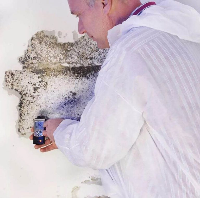 Mold Surface Sampling And Mold Removal Bellingham WA